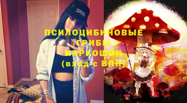 крисы Белоозёрский