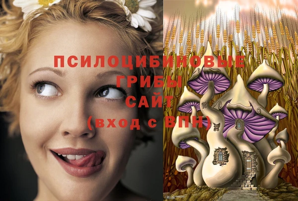 крисы Белоозёрский