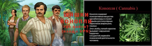 крисы Белоозёрский