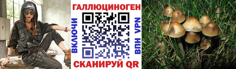 купить   Мезень  ОМГ ОМГ маркетплейс  Псилоцибиновые грибы ЛСД 